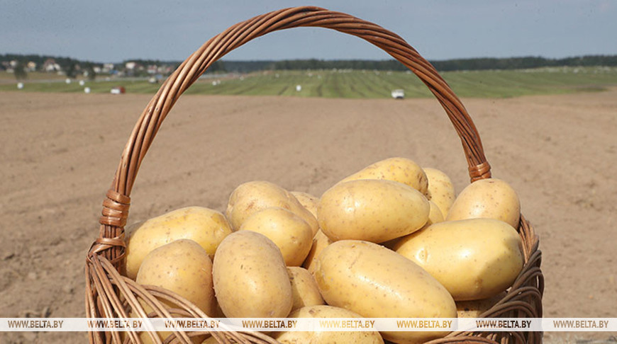 Фота з архіва