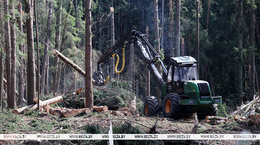 Фота з архіва