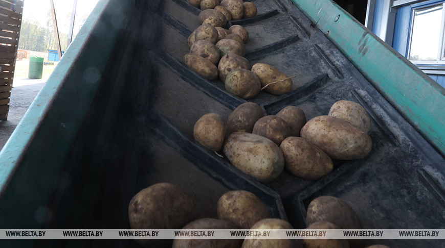 Фота з архіва