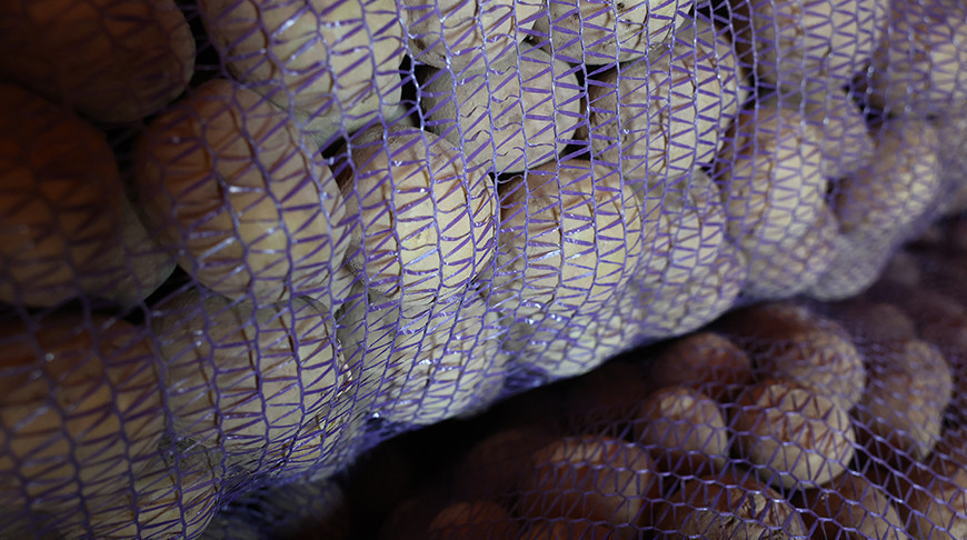 Фота з архіва