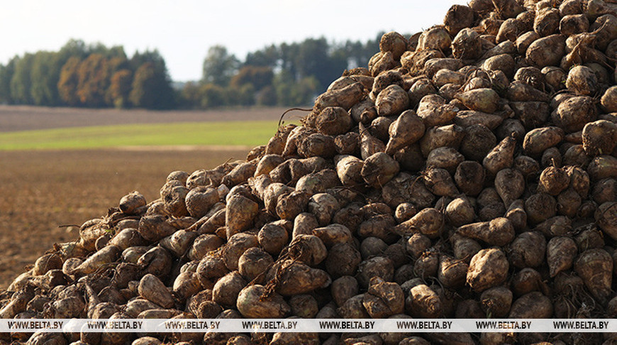 Фота з архіва