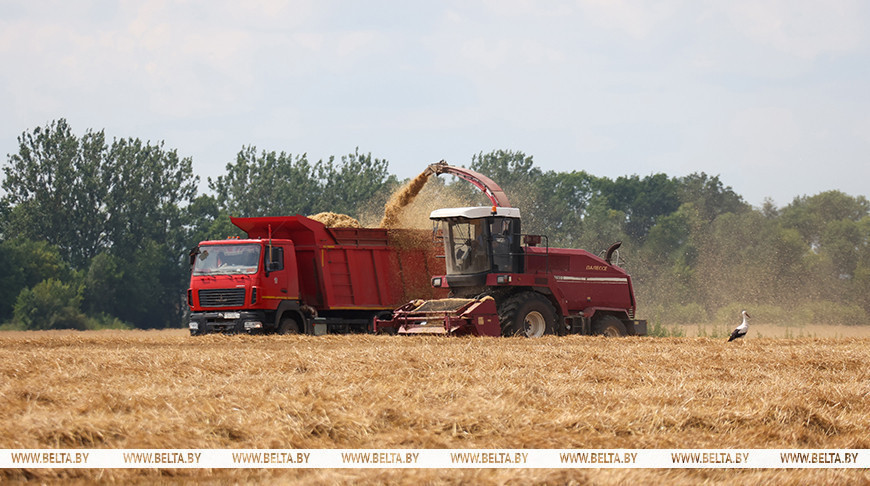 Фота з архіва