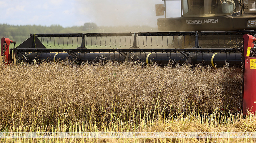 Фота з архіва