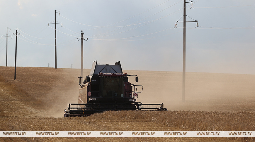 Фота з архіва