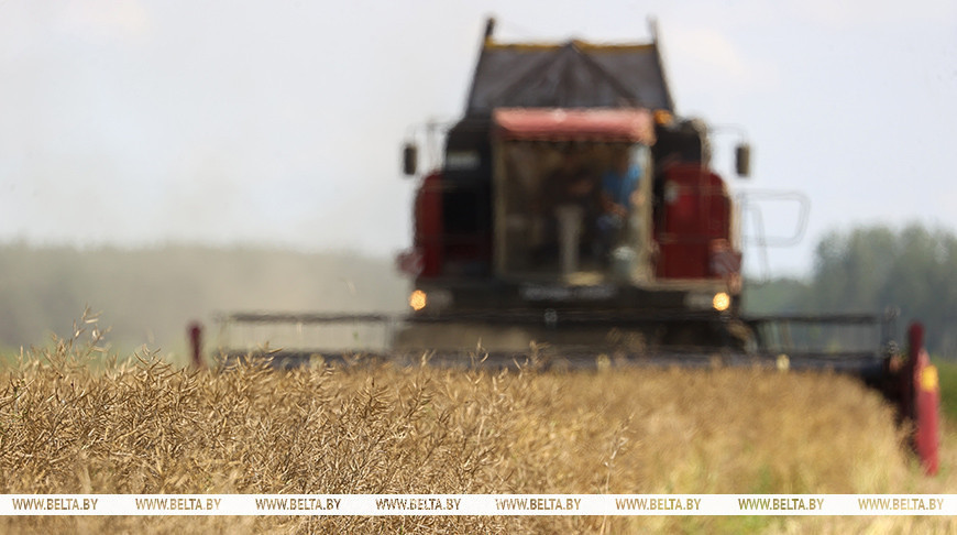 Фота з архіва