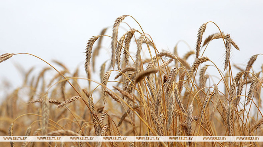 Фота з архіва
