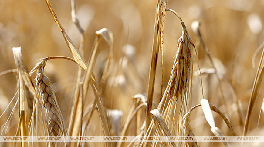 Фота з архіва