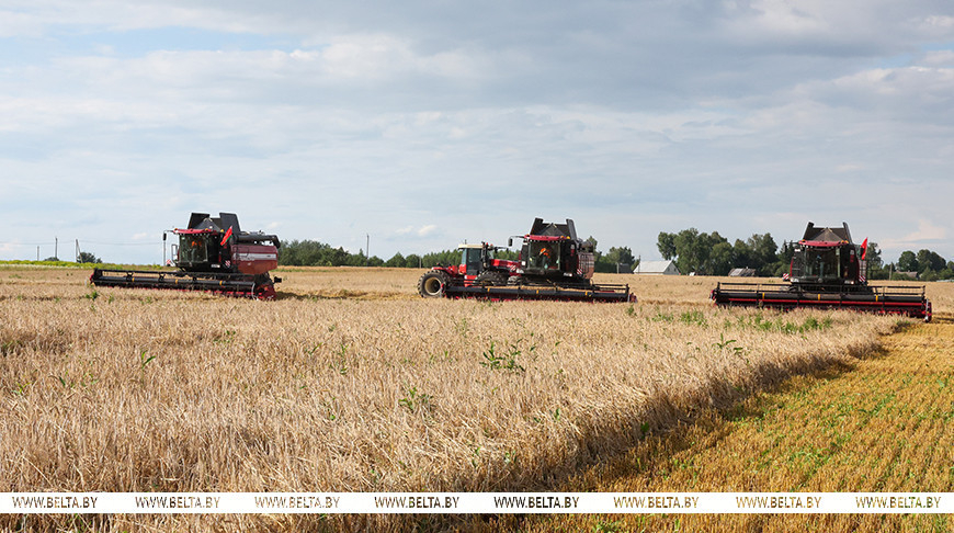 Фота з архіва