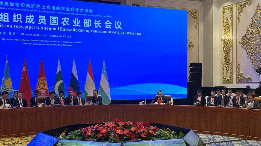 Фота Мінсельгасхарча