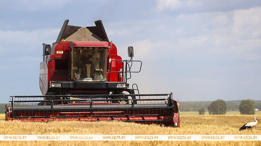 Фота з архіва