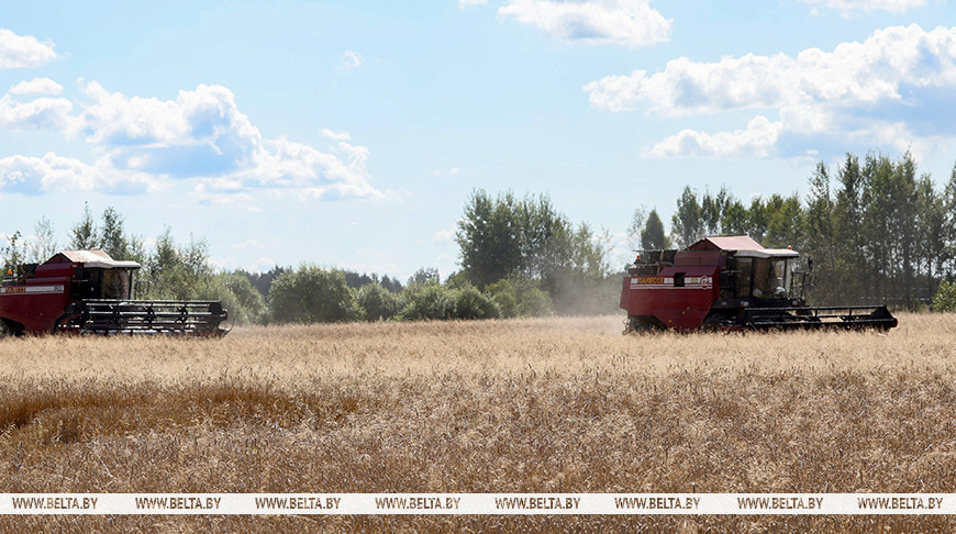 Фота з архіва