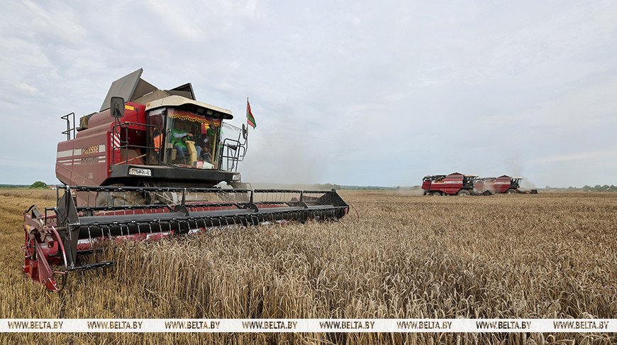 Фота з архіва