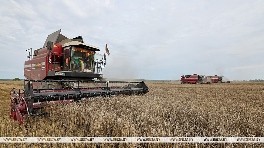 Фота з архіва