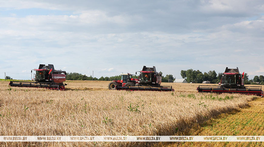 Фота з архіва
