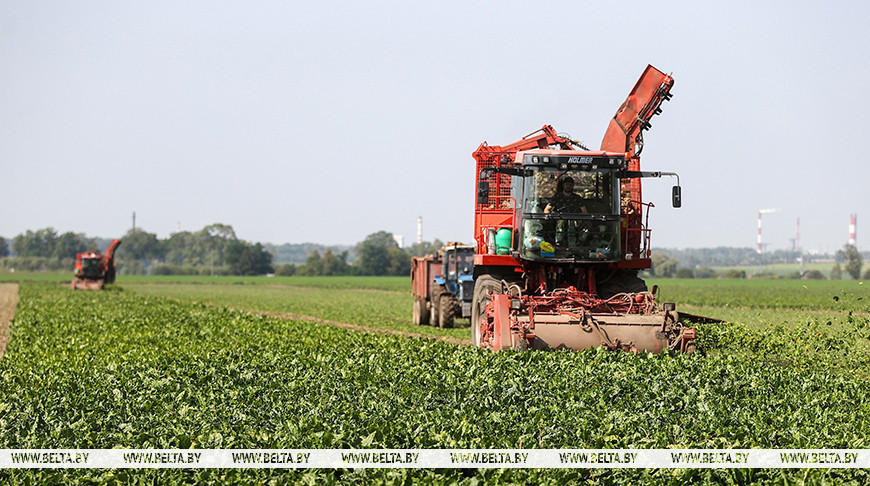 Фота з архіва