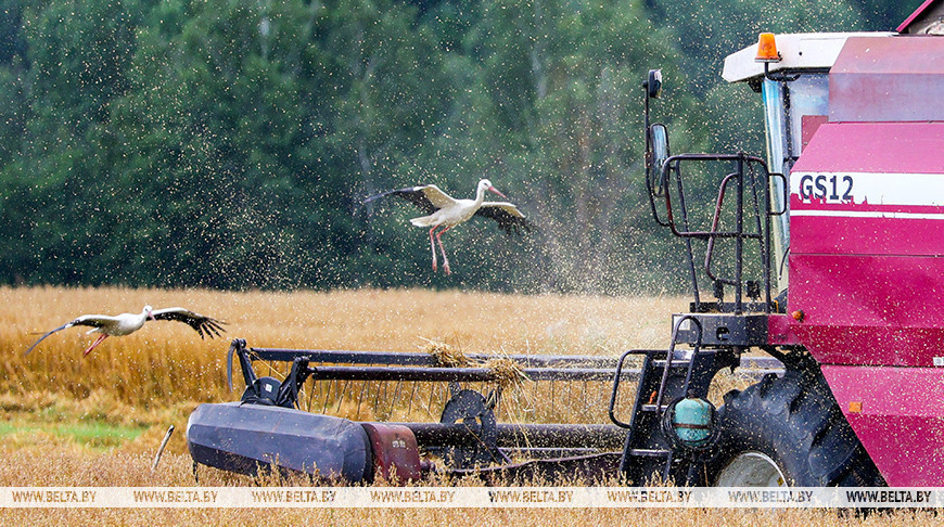 Фота з архіва