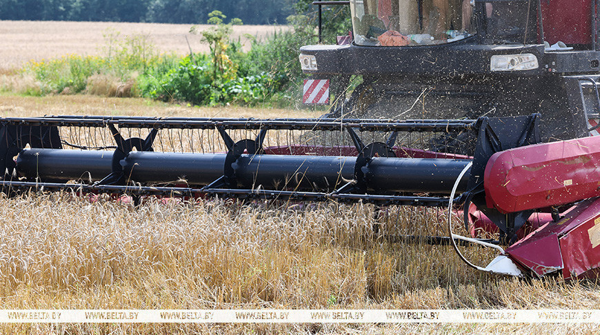 Фота з архіва