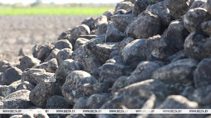 Фота з архіва