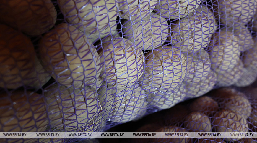 Фота з архіва