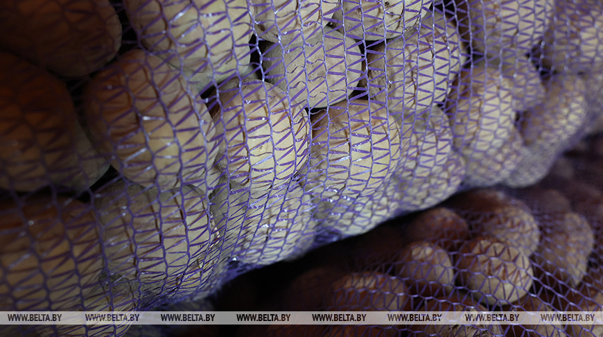 Фота з архіва