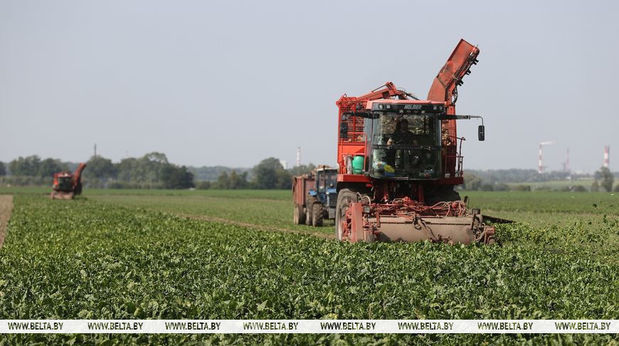 Фота з архіва