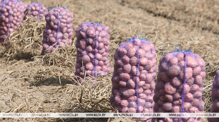 Фота з архіва