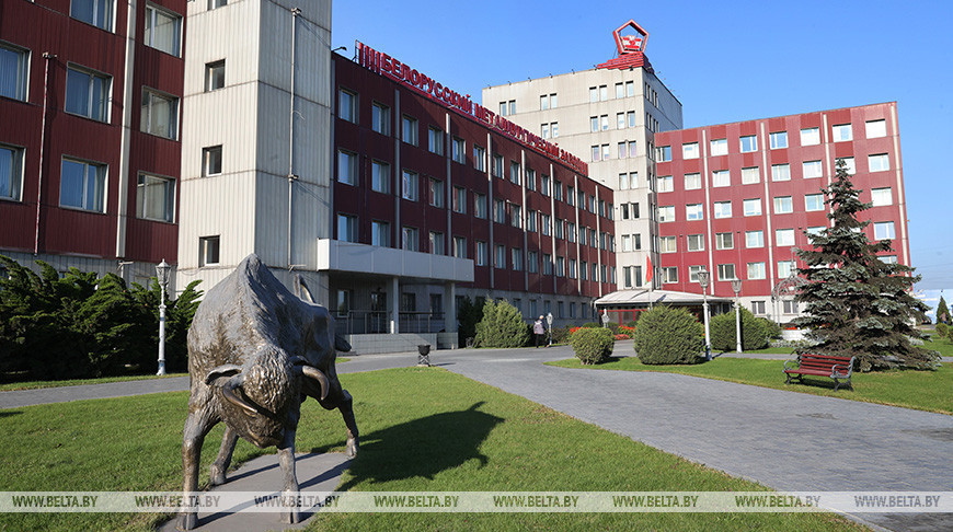 Фота з архіва