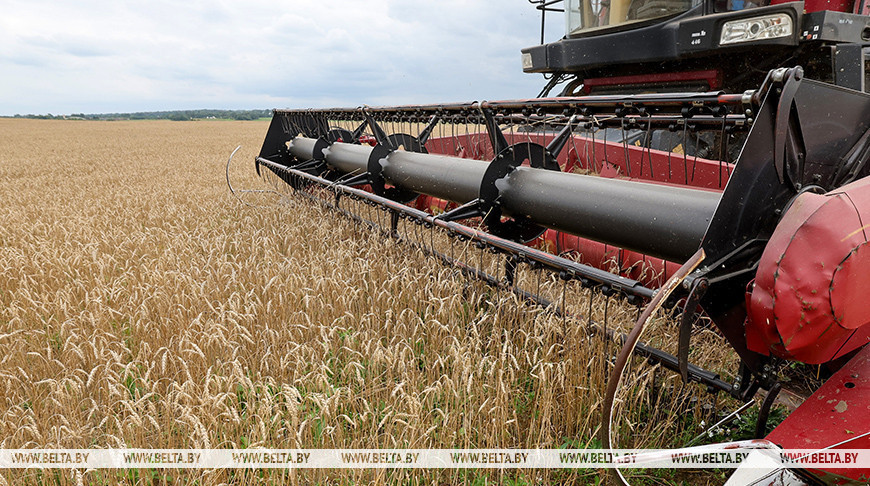 Фота з архіва