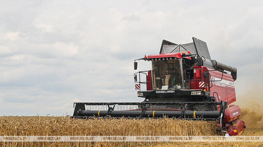 Фота з архіва