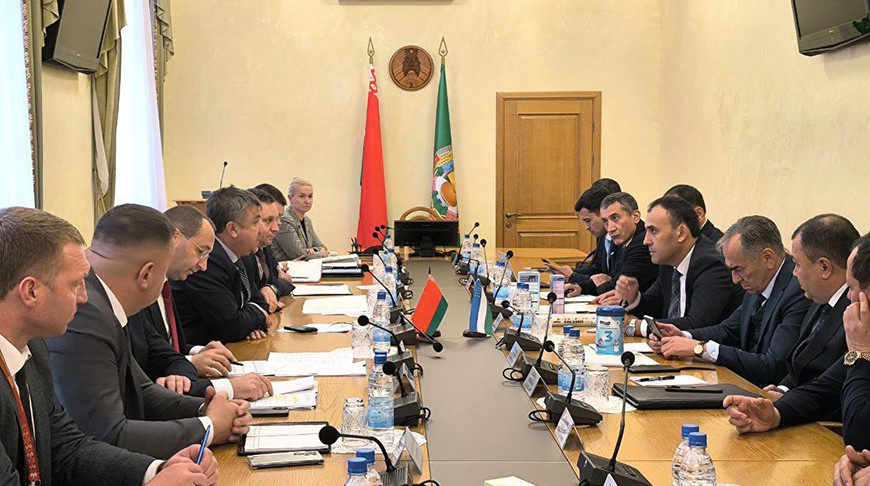 Фота Мінсельгасхарча