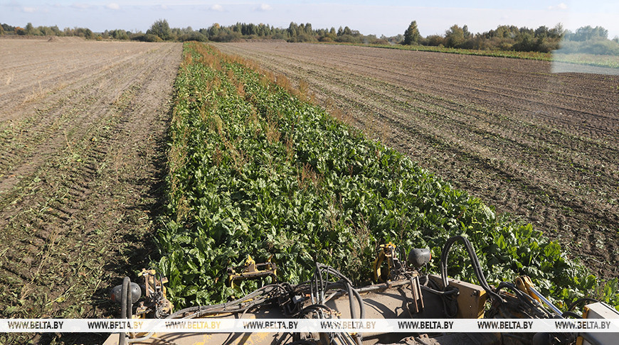 Фота з архіва