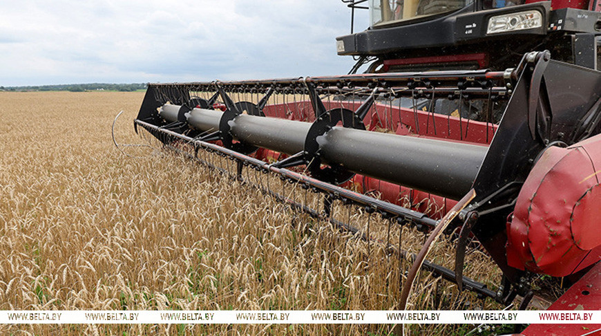 Фота з архіва