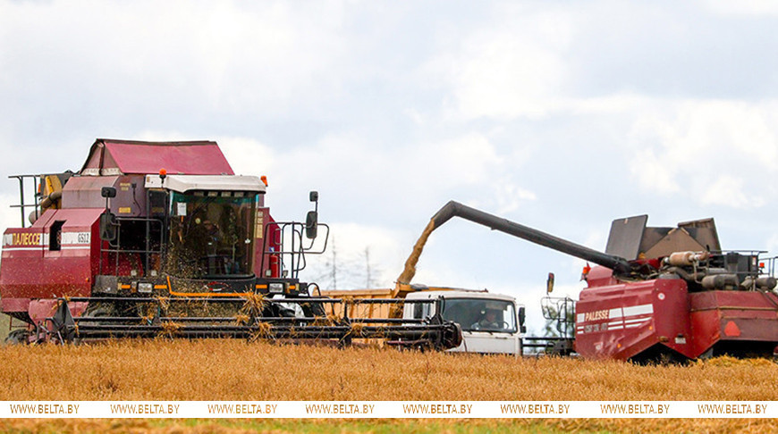 Фота з архіва