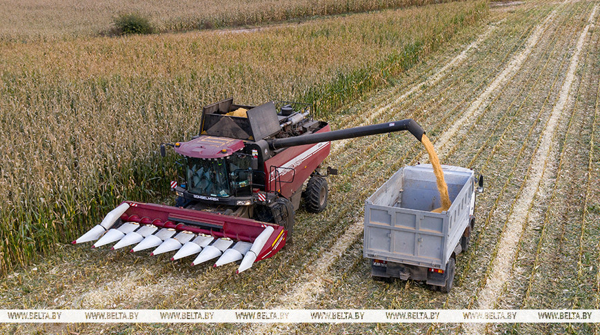 Фота з архіва