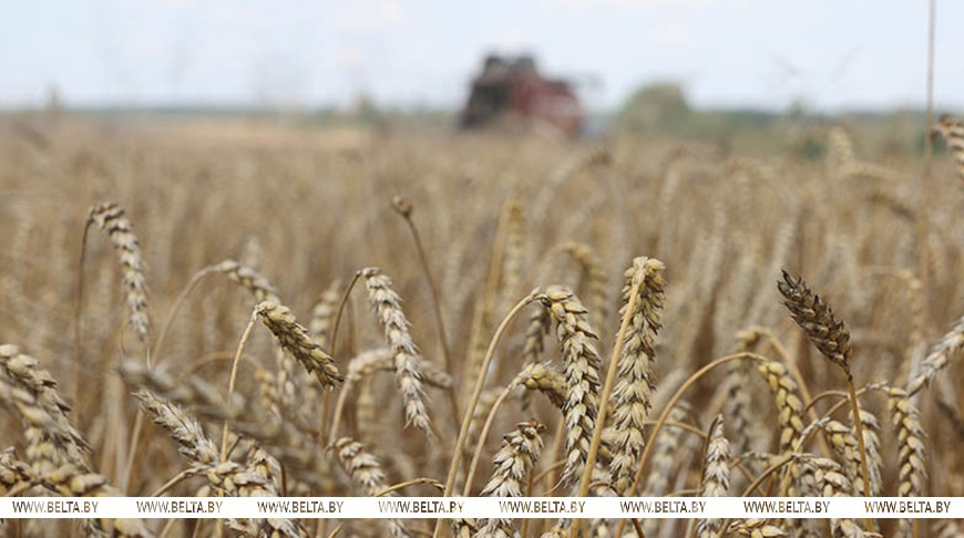Фота з архіва