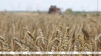 Фота з архіва