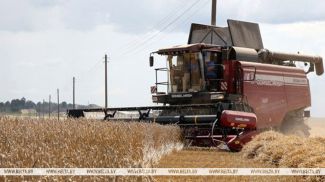 Фота з архіва