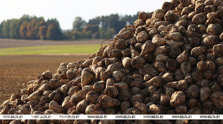 Фота з архіва