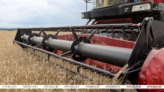 Фота з архіва