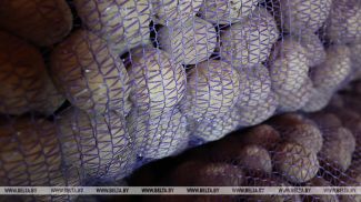 Фота з архіва