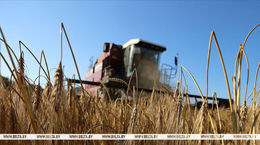 Фота з архіва