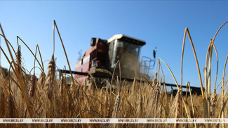 Фота з архіва