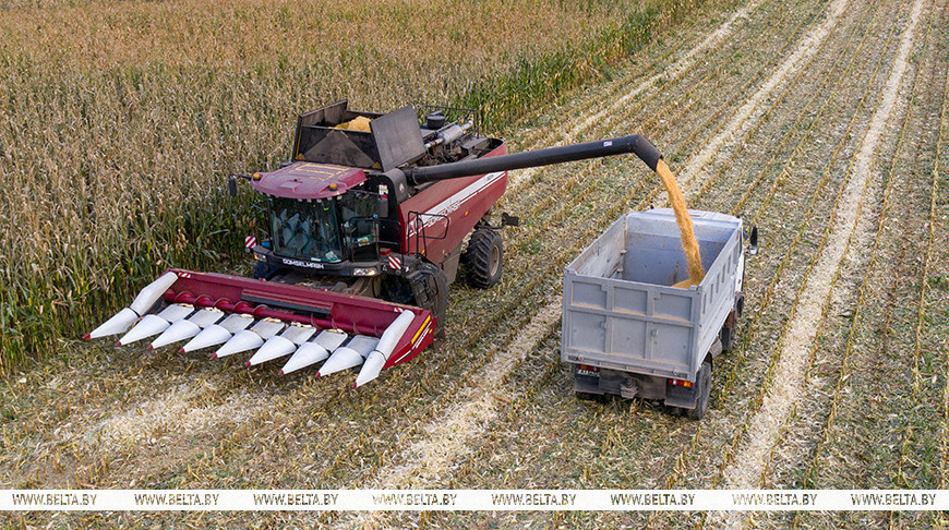 Фота з архіва