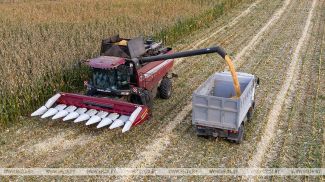 Фота з архіва