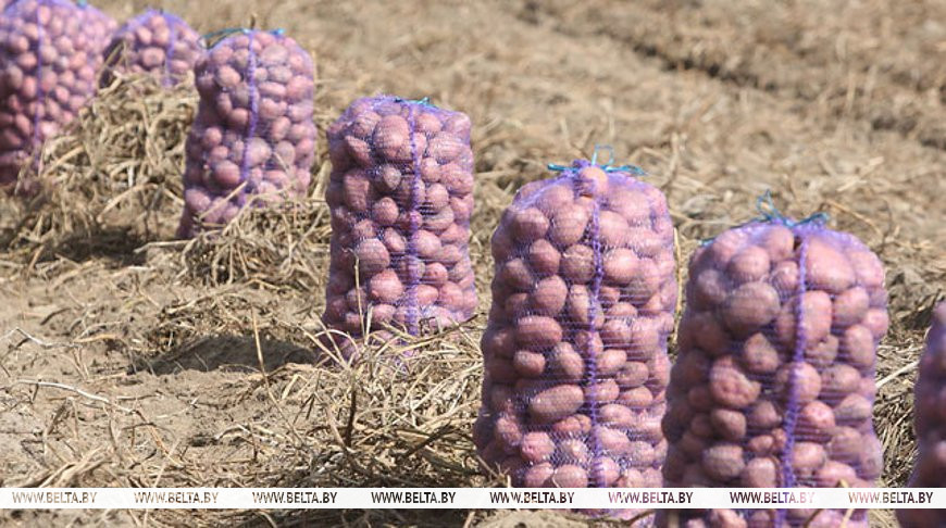 Фота з архіва