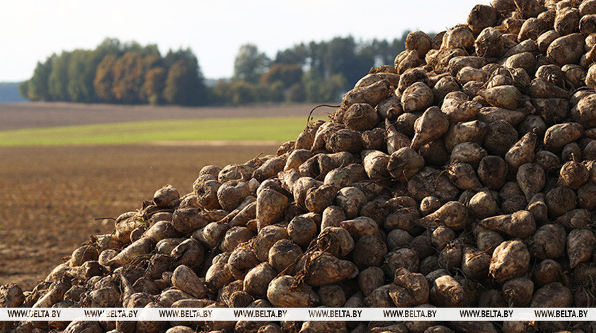 Фота з архіва