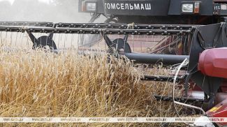 Фота з архіва