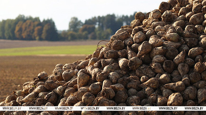 Фота з архіва