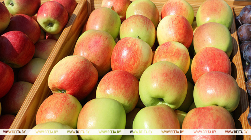 Фота з архіва