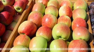 Фота з архіва